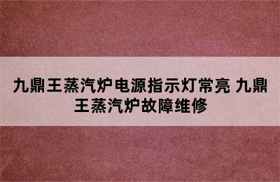 九鼎王蒸汽炉电源指示灯常亮 九鼎王蒸汽炉故障维修